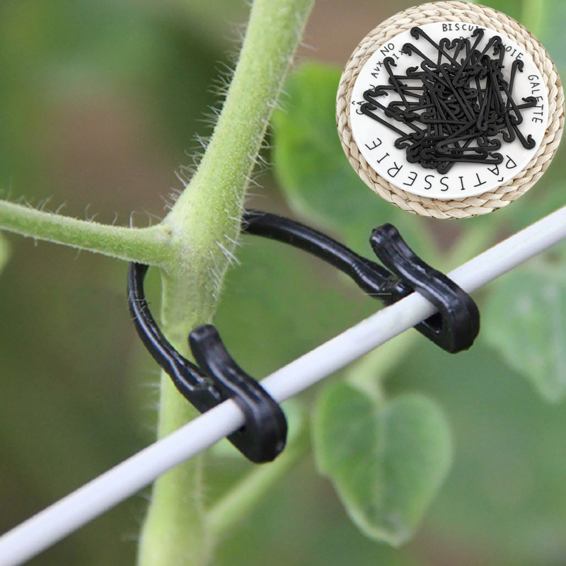 Gardening Tools For Vines - 50PCS 덩굴 패스너 묶인 클립 버클