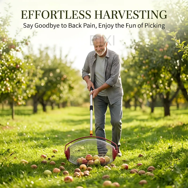 Gardening Tools Types - 드럼형 너트 수집기, 호두, 도토리, 골프공용