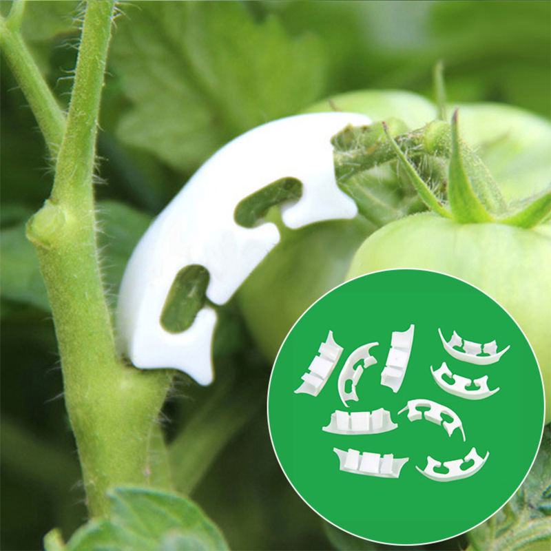 Gardening Tools For Vines - 식물학 줄기 덩굴 스트랩 클립, 정원