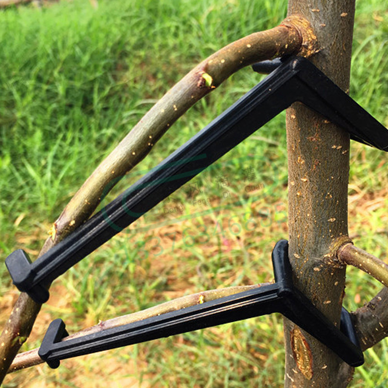 Gardening Tools For Vines - 10-30Pcs 과일 나무 클립 식물 덩굴