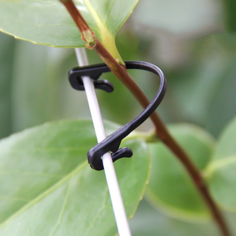 50PCS 덩굴 패스너 묶인 클립 버클 고정 래싱 도구 - Gardening Tools For Vines 리뷰 및 가격