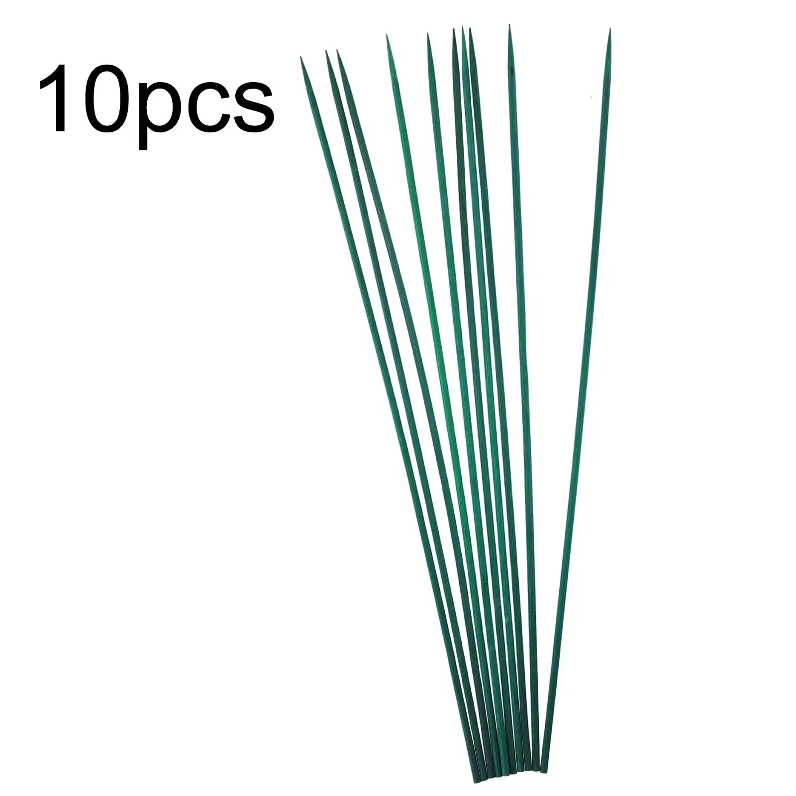 식물 말뚝 키트 나무 스틱 꽃 녹색 대나무 식물 지지대 - Gardening Tools Shop 리뷰 및 가격