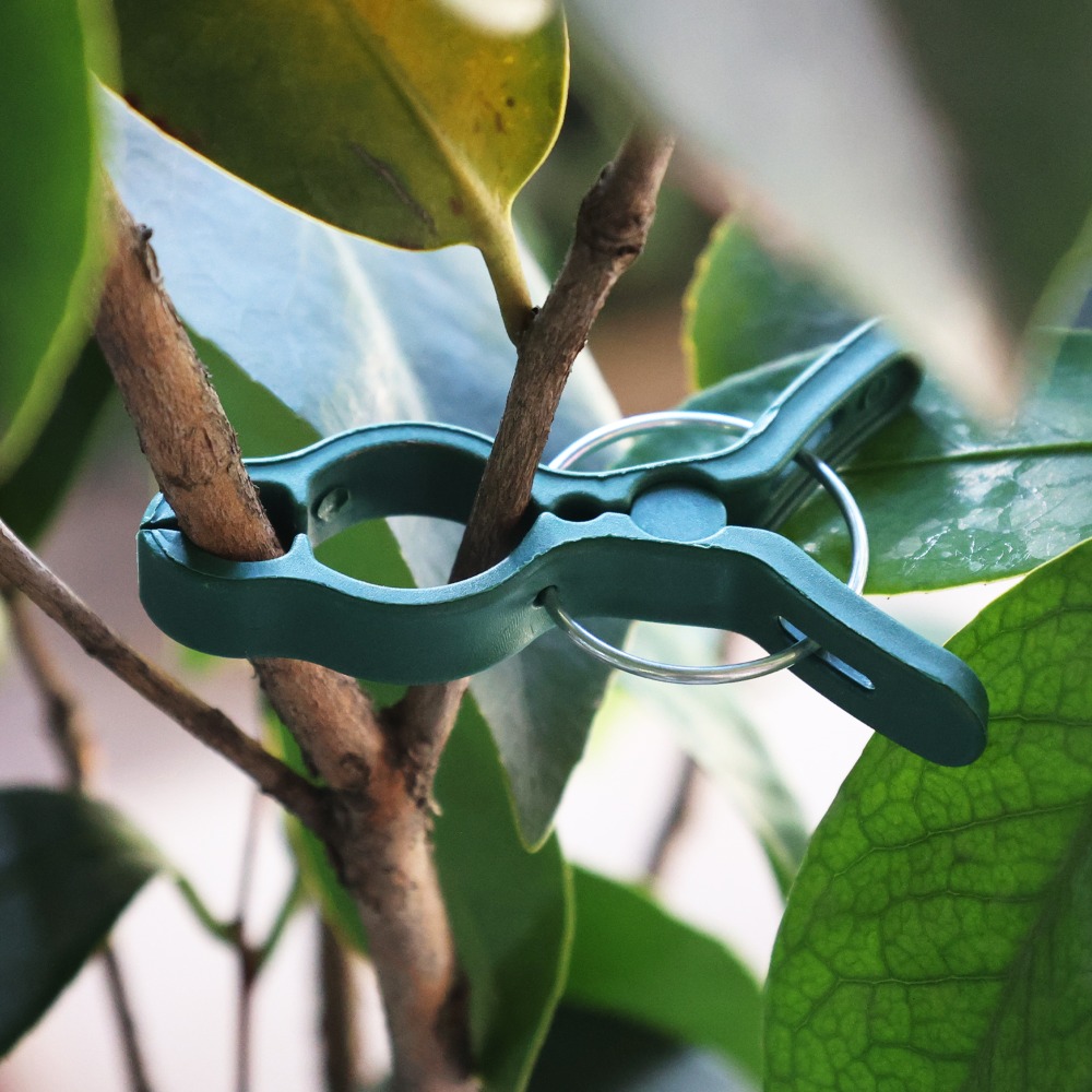 50/10PCS 식물 채소 지지 접목 클립 오이 가지붙 - Gardening Tools For Vines 리뷰 및 가격