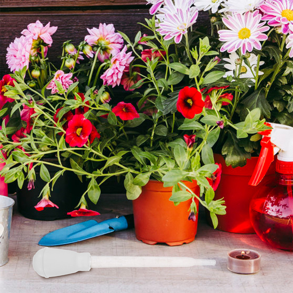 3개입 화분 물 흡수 트레이 받침대 물 제거 도구 과습 - Gardening Tools Water 리뷰 및 가격