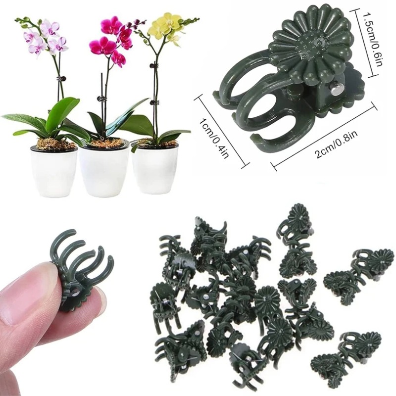 50개입 5발톱 짙은 녹색 식물 클립 난초 꽃 지지대  - Gardening Tools For Vines 리뷰 및 가격