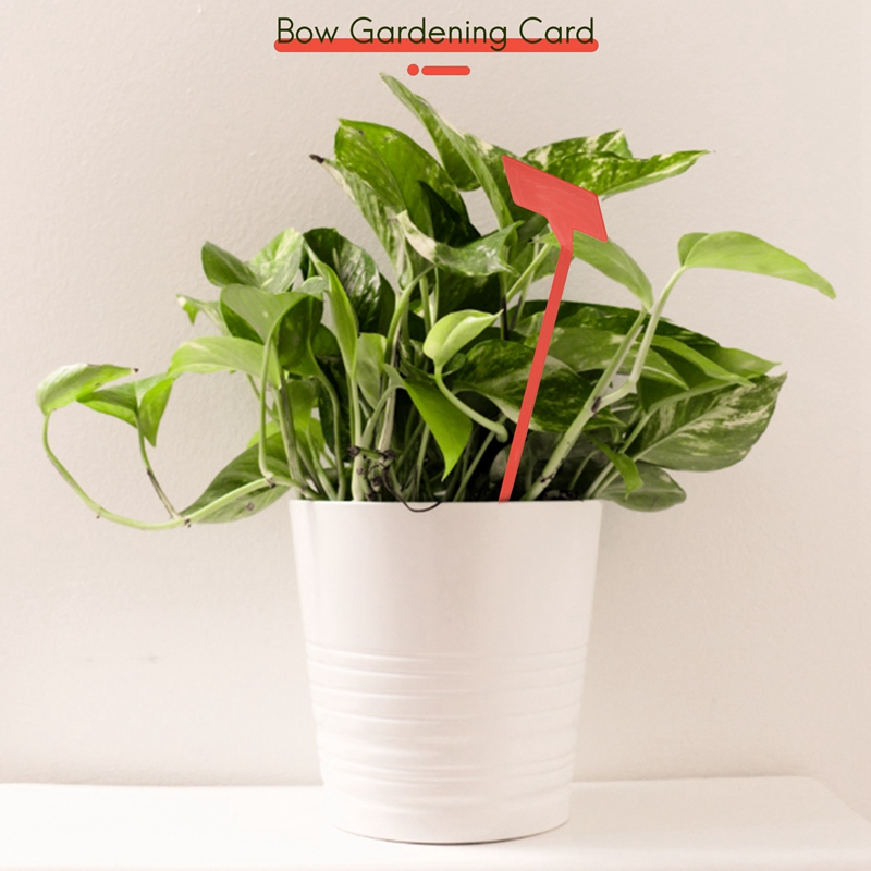 ABYP 정원 심기 도구 50 Pcs 분재 플라스틱 식 - Gardening Tools Types 리뷰 및 가격
