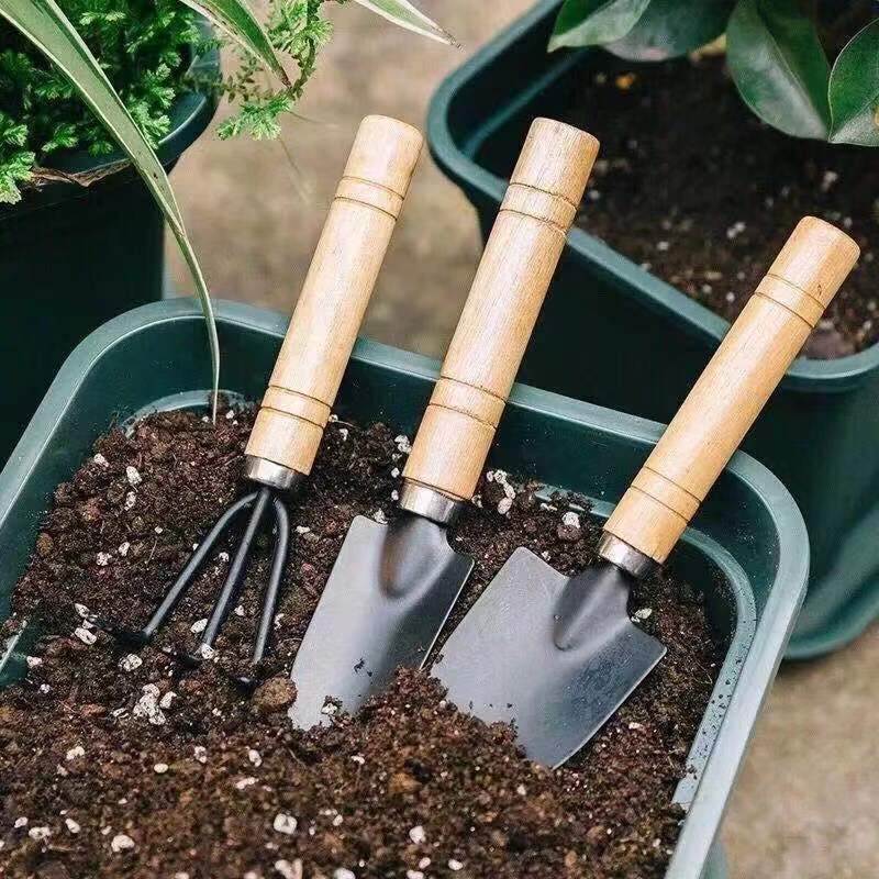 3PC/1세트 미니 원예 도구 세트 휴대용 소형 원예  - Gardening Tools Shop 리뷰 및 가격