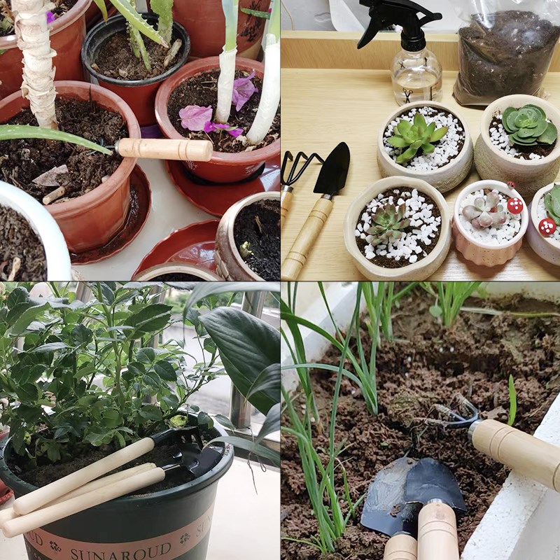 3PC/1세트 미니 원예 도구 세트 휴대용 소형 원예  - Gardening Tools Shop 리뷰 및 가격