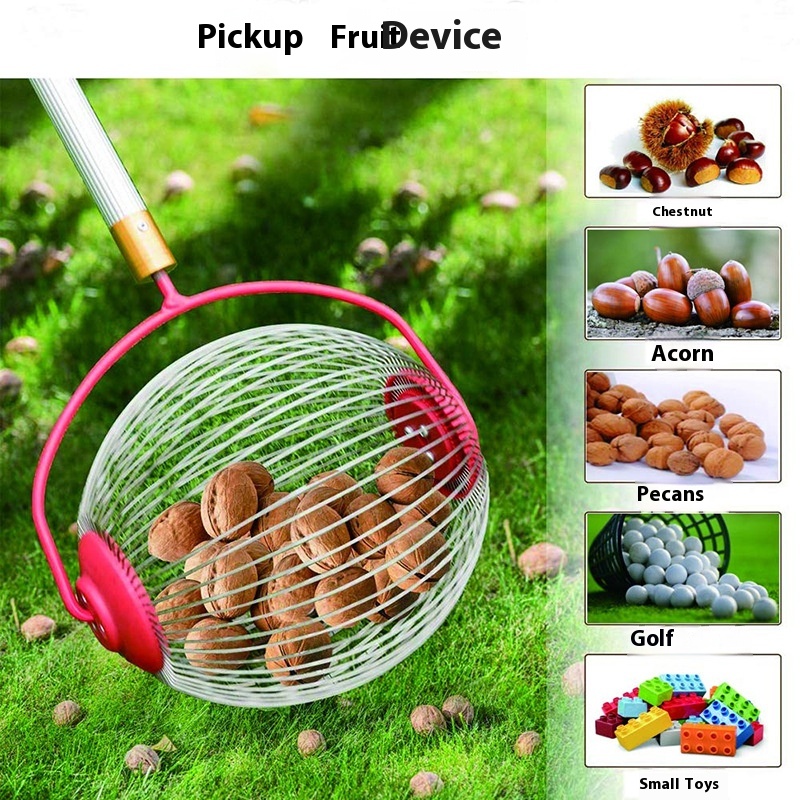 드럼형 너트 수집기, 호두, 도토리, 골프공용 롤링 과 - Gardening Tools Types 리뷰 및 가격