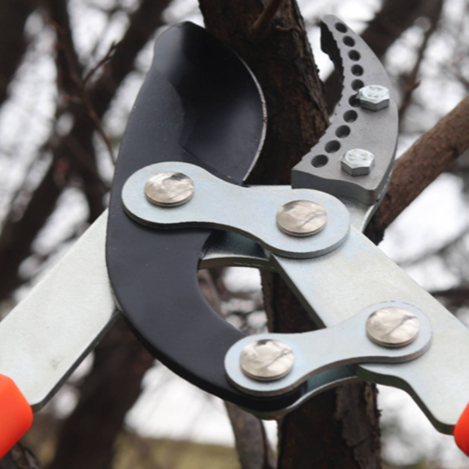 텔레스코픽 가지치기 가위 날카로운 칼날 튼튼한 트리 프 - Gardening Tools In 리뷰 및 가격
