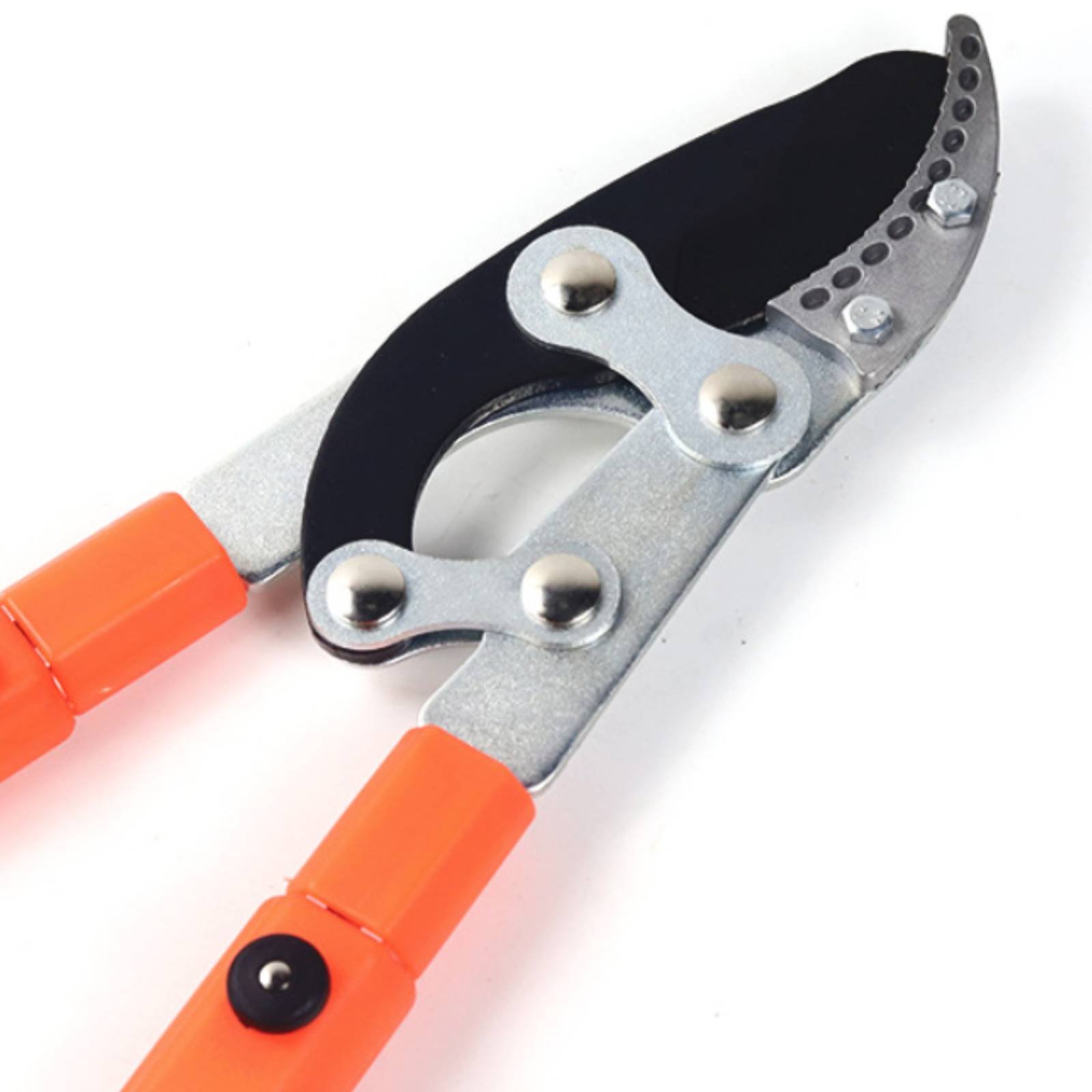 텔레스코픽 가지치기 가위 날카로운 칼날 튼튼한 트리 프 - Gardening Tools In 리뷰 및 가격