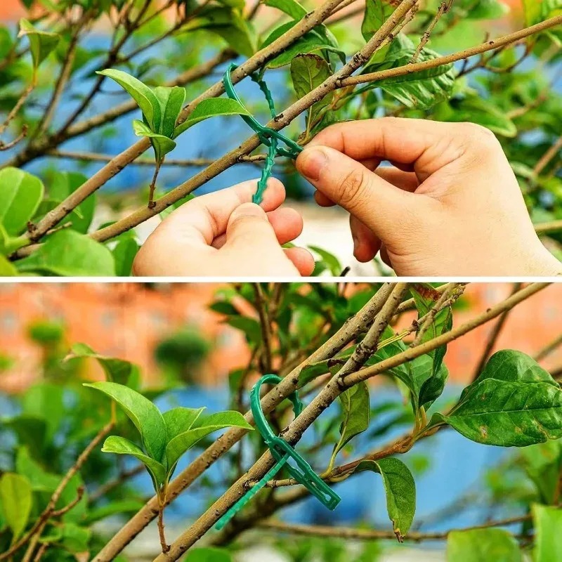 재사용 가능한 정원용 케이블 타이, 식물 덩굴 나무 관 - Gardening Tools For Vines 리뷰 및 가격