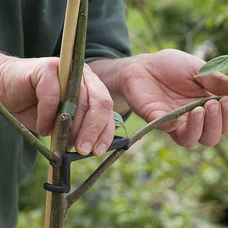 10-30Pcs 과일 나무 클립 식물 덩굴 지원 트위스 - Gardening Tools For Vines 리뷰 및 가격