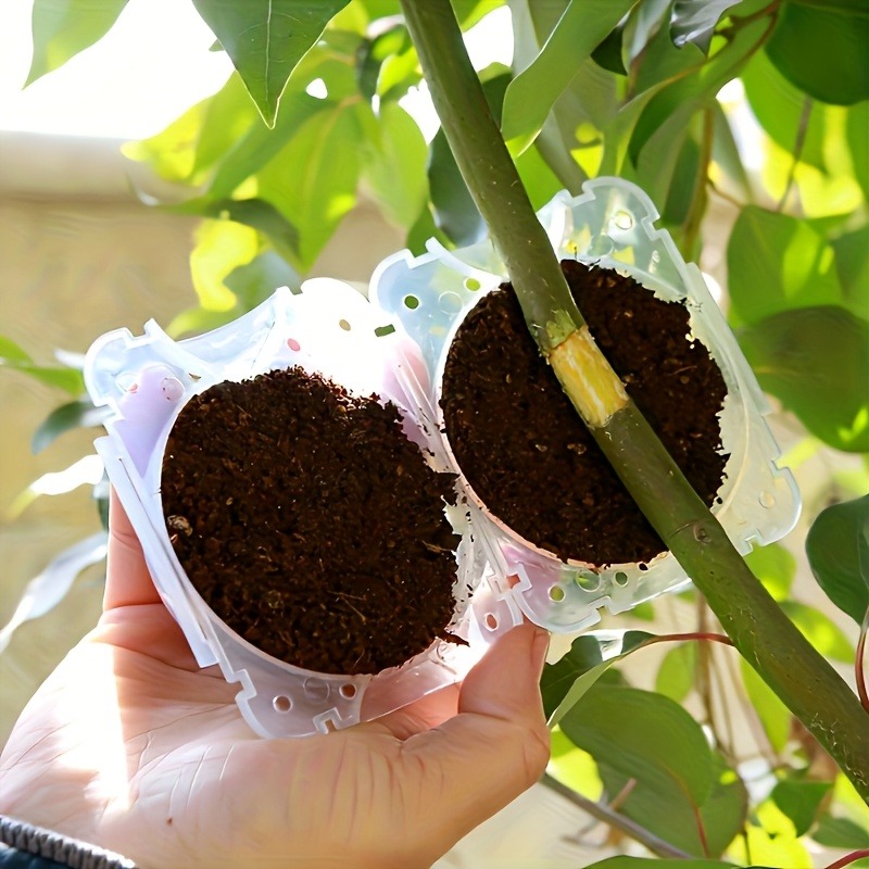 10개입 고압 식물 뿌리화 번식 상자 키트, 정원용 압 - Gardening Tools Shop 리뷰 및 가격
