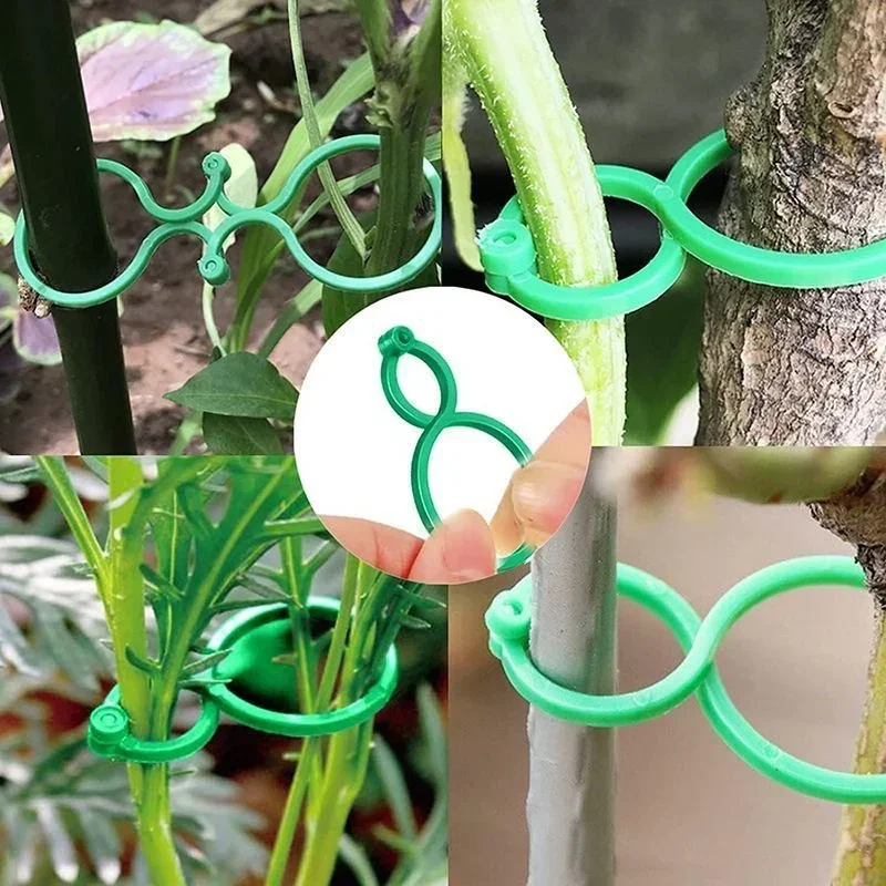 플라스틱 정원 덩굴 결속 클립 식물 묶음 버클 링 정원 - Gardening Tools For Vines 리뷰 및 가격