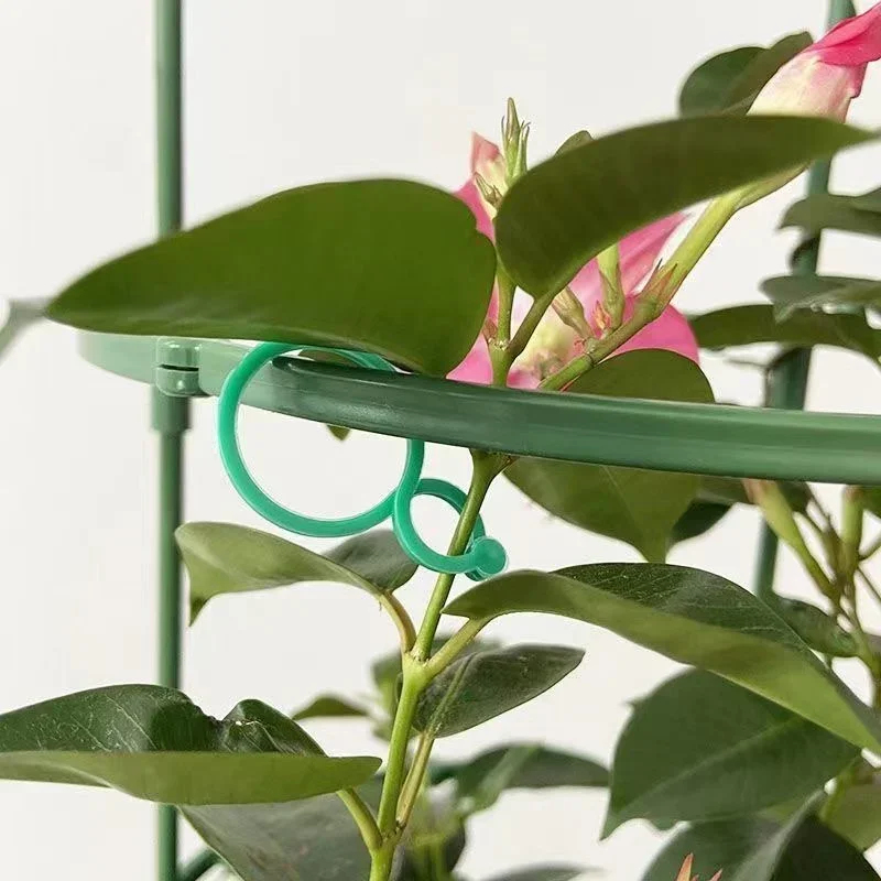 플라스틱 정원 덩굴 결속 클립 식물 묶음 버클 링 정원 - Gardening Tools For Vines 리뷰 및 가격