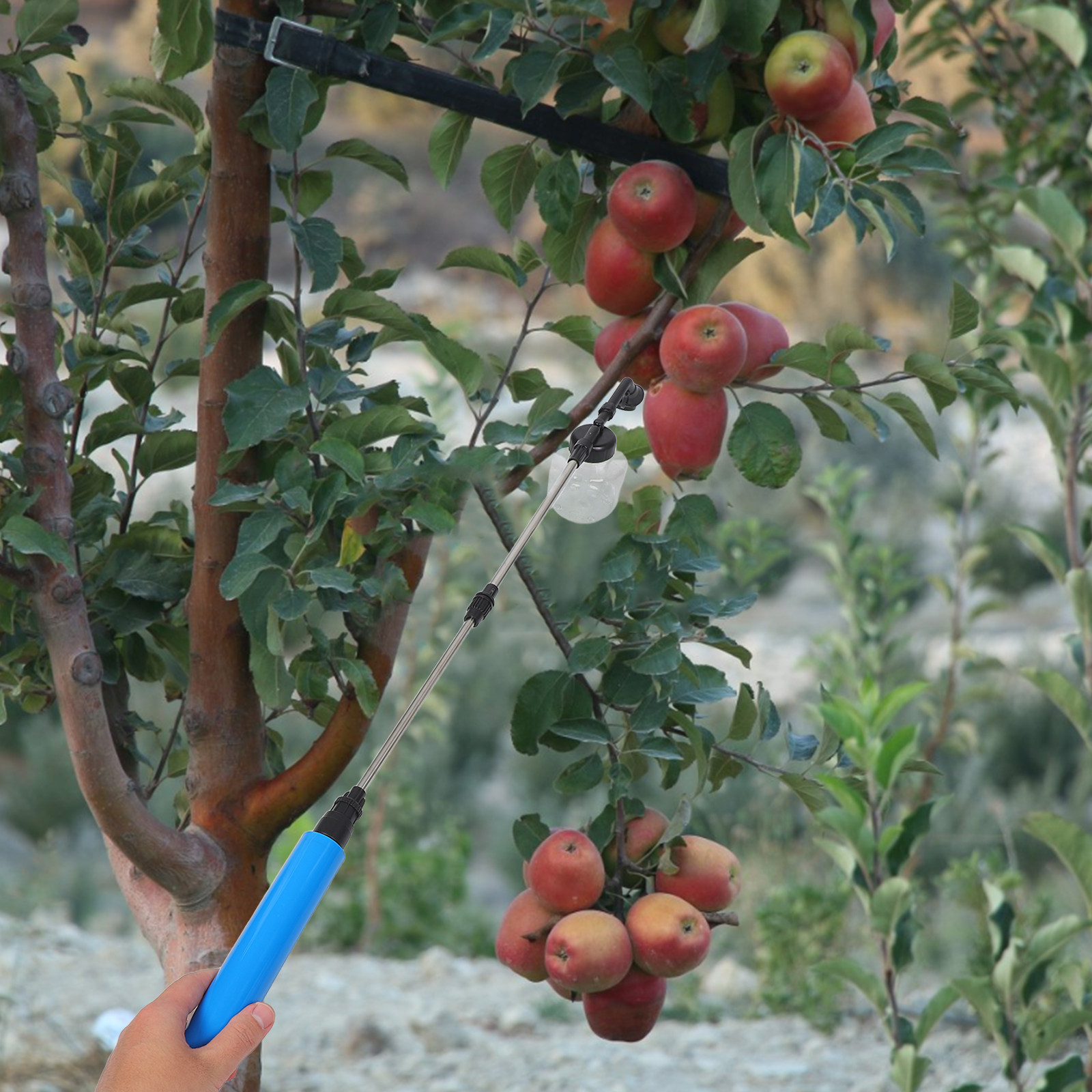과일나무, 채소, 정원 식물 꽃가루 이식기, 토마토,  - Gardening Tools Uses 리뷰 및 가격